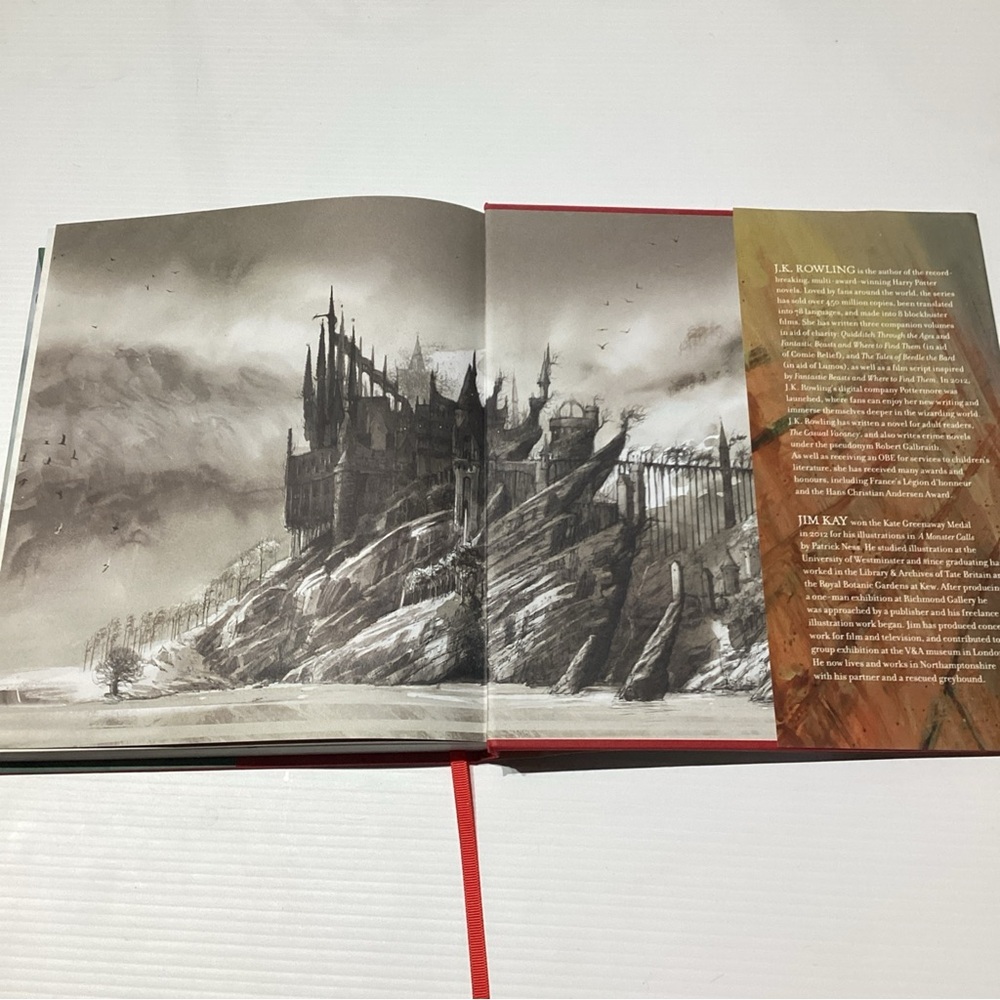 Harry Potter and the Philosopher's Stone: Illustrated Edition 1st Edition - Picture 13 of 13